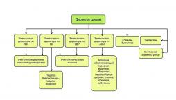 Схема организационной структуры МОУ Бурашевская СОШ